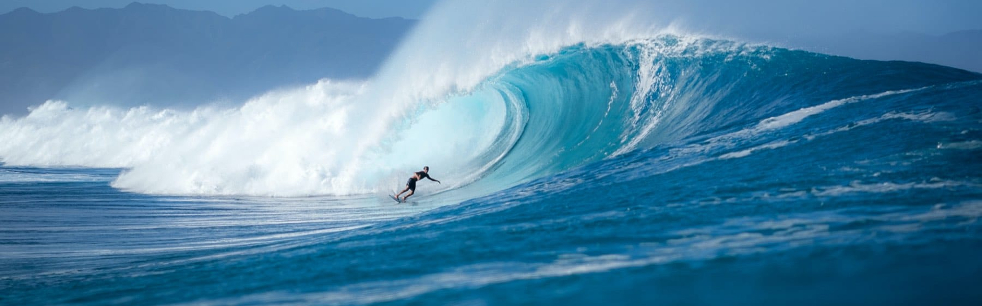 surfer